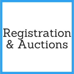 Registration, Auction